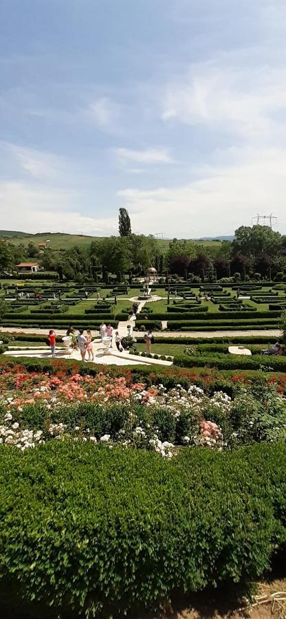 Pensiunea Sura Orăştie Exteriér fotografie