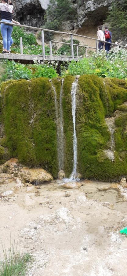 Pensiunea Sura Orăştie Exteriér fotografie